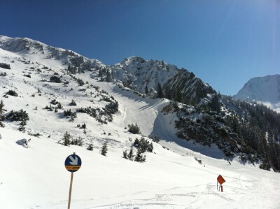Ehrwalder Alm / Ehrwald