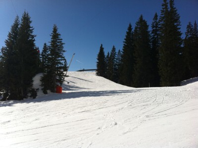 Ehrwalder Alm / Ehrwald