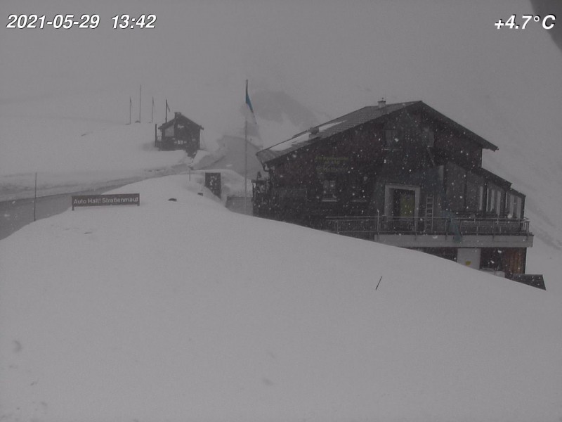 Fuscher Lacke 1, Grossglockner - 29-05-2021 13:44